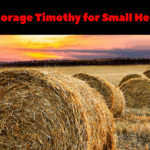 Storage of Timothy Hay