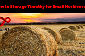 Storage of Timothy Hay