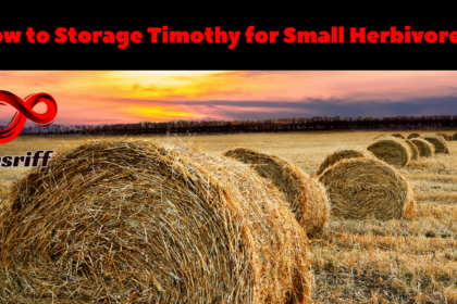 Storage of Timothy Hay