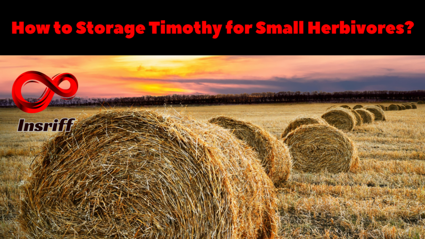 Storage of Timothy Hay